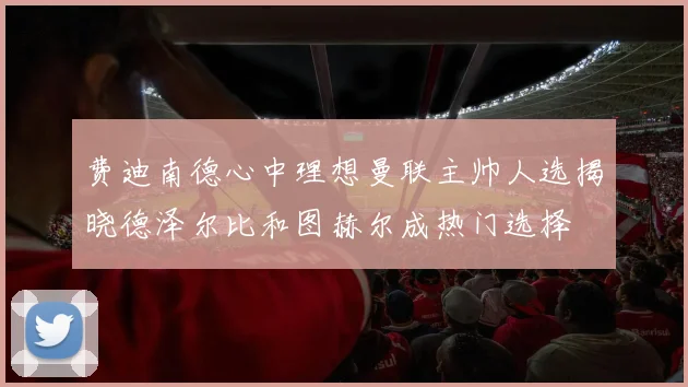 费迪南德心中理想曼联主帅人选揭晓德泽尔比和图赫尔成热门选择