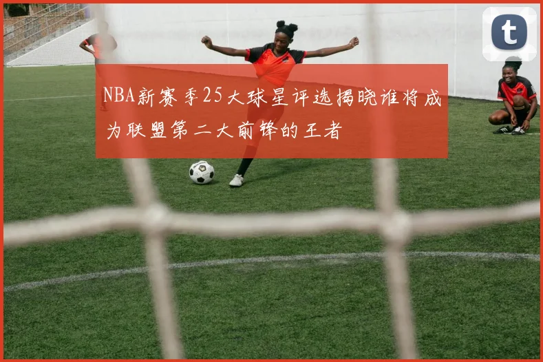 NBA新赛季25大球星评选揭晓谁将成为联盟第二大前锋的王者