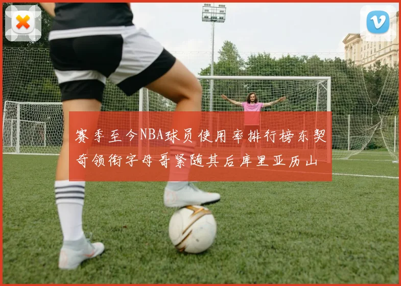 赛季至今NBA球员使用率排行榜东契奇领衔字母哥紧随其后库里亚历山大表现抢眼