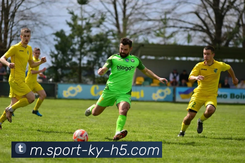 开云体育APP 封面图